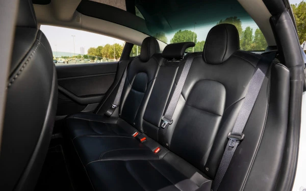  White Tesla Model 3 Photo 