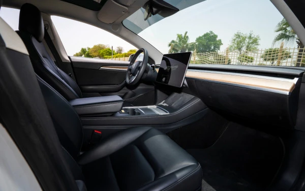  White Tesla Model 3 Photo 