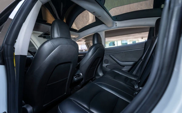  White Tesla Model 3 Photo 