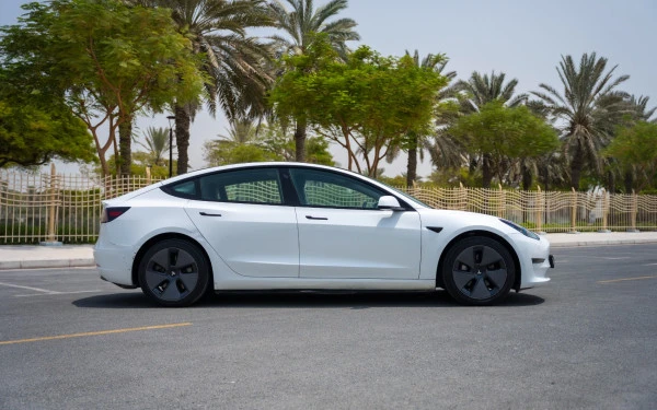  White Tesla Model 3 Photo 