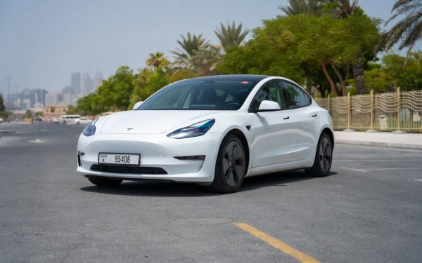  White Tesla Model 3 Photo 