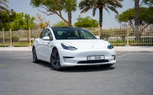  White Tesla Model 3 Photo 