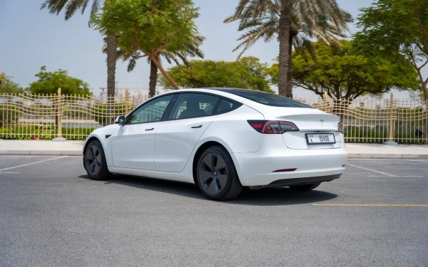  White Tesla Model 3 Photo 