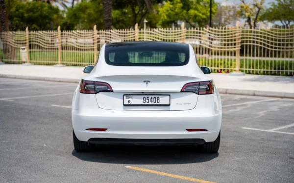  White Tesla Model 3 Photo 