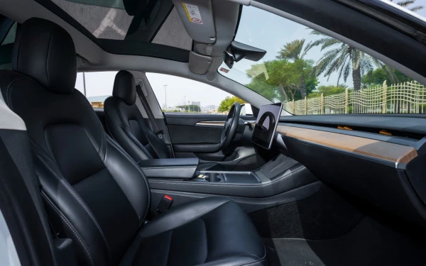  White Tesla Model 3 Photo 