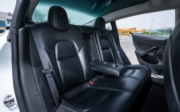  White Tesla Model 3 Photo 