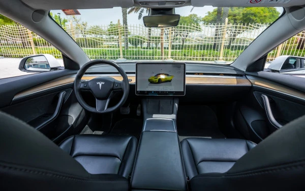  White Tesla Model 3 Photo 