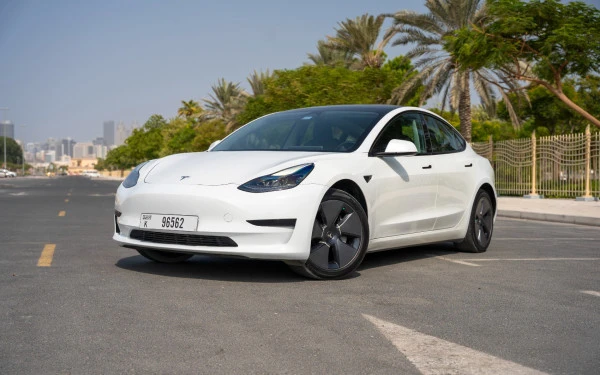  White Tesla Model 3 Photo 