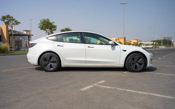  White Tesla Model 3 Photo 