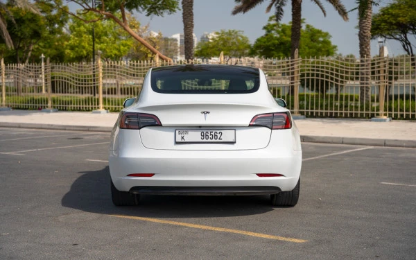  White Tesla Model 3 Photo 