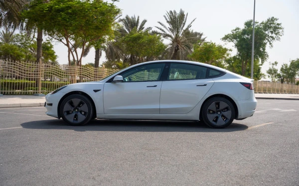  White Tesla Model 3 Photo 