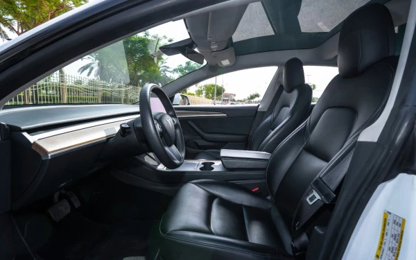  White Tesla Model 3 Photo 