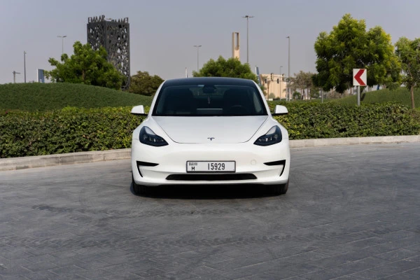  White Tesla Model 3 Photo 
