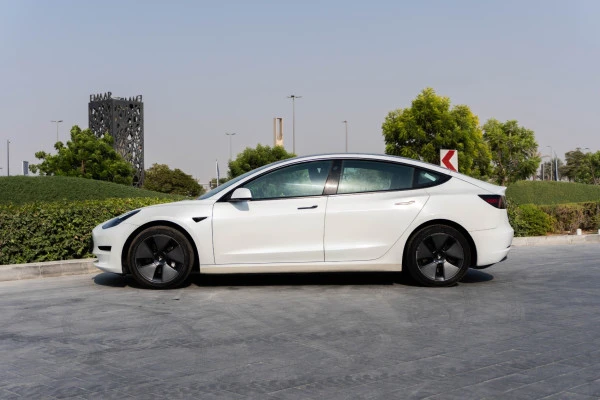  White Tesla Model 3 Photo 