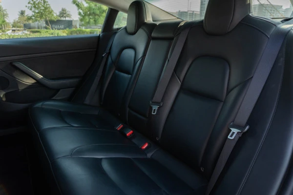  White Tesla Model 3 Photo 