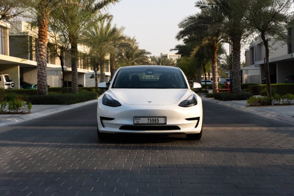  White Tesla Model 3 Photo 