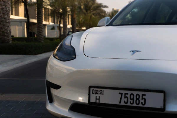  White Tesla Model 3 Photo 
