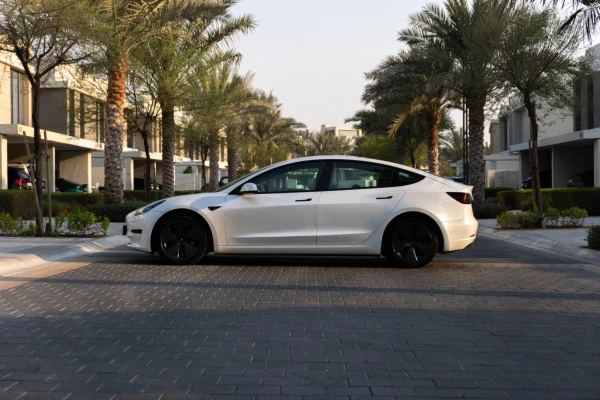  White Tesla Model 3 Photo 