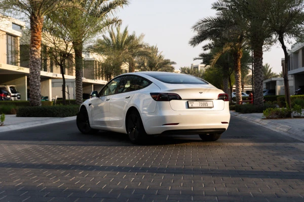  White Tesla Model 3 Photo 
