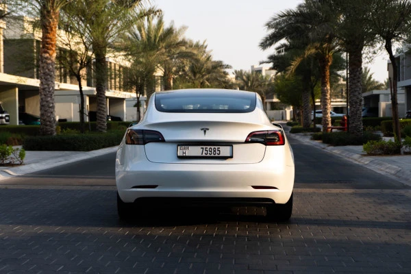  White Tesla Model 3 Photo 