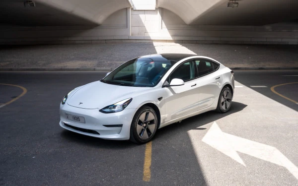  White Tesla Model 3 Photo 