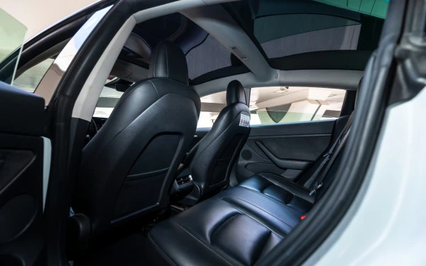  White Tesla Model 3 Photo 