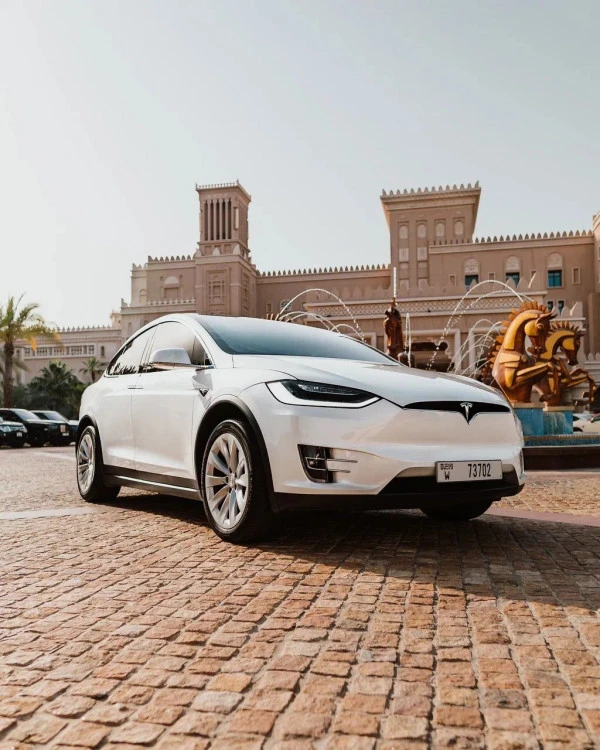  White Tesla Model X Photo 