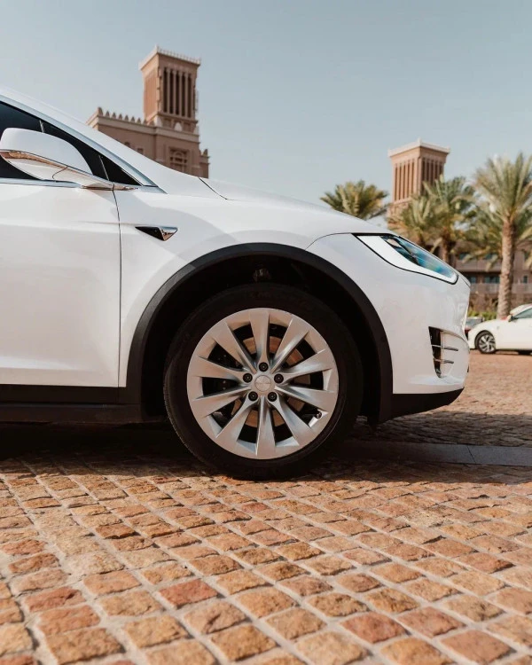  White Tesla Model X Photo 
