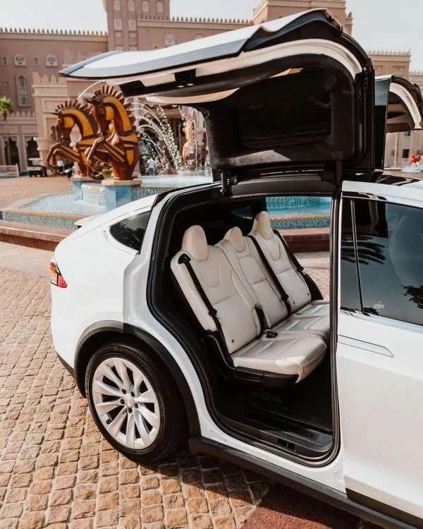  White Tesla Model X Photo 