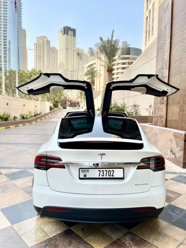  White Tesla Model X Photo 