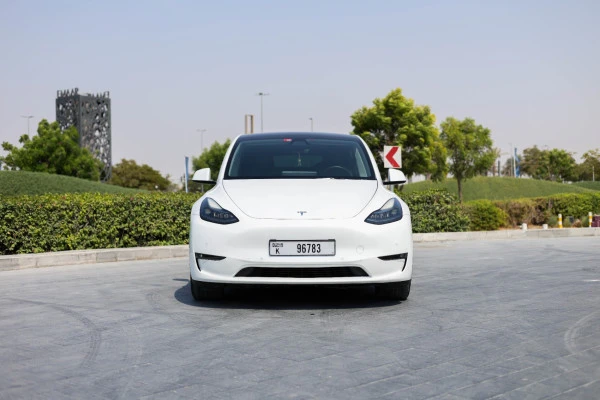  White Tesla Model Y Long Range Photo 