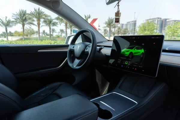  White Tesla Model Y Long Range Photo 