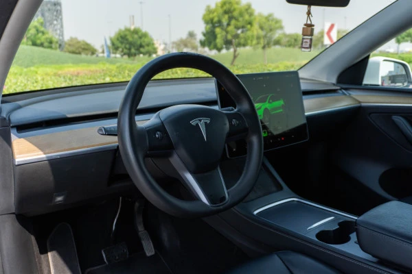  White Tesla Model Y Long Range Photo 