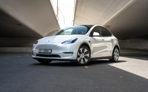  White Tesla Model Y Long Range Photo 