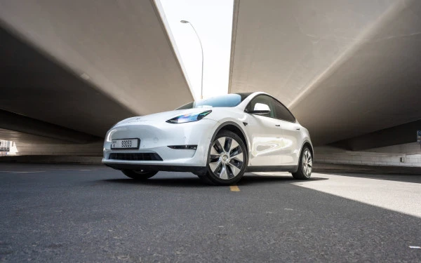  White Tesla Model Y Long Range Photo 