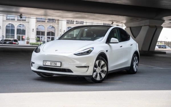  White Tesla Model Y Long Range Photo 
