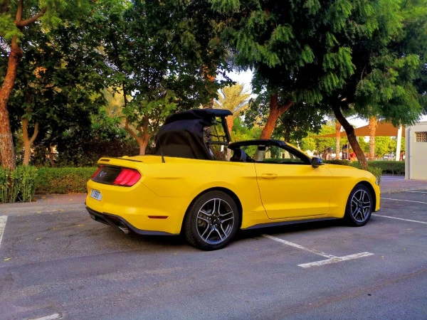  Yellow Ford Mustang cabrio Photo 